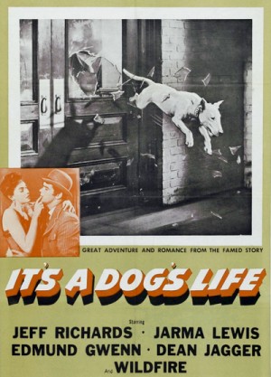 It's a Dog's Life 1955