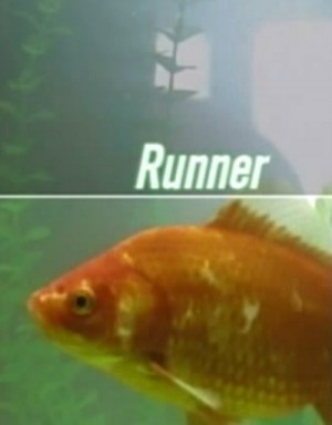 Der Runner / The Runner (2000) DVD5